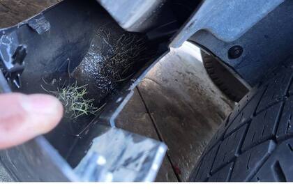 Hierba creciendo en Cybertruck. (cybertruckownersclub.com)