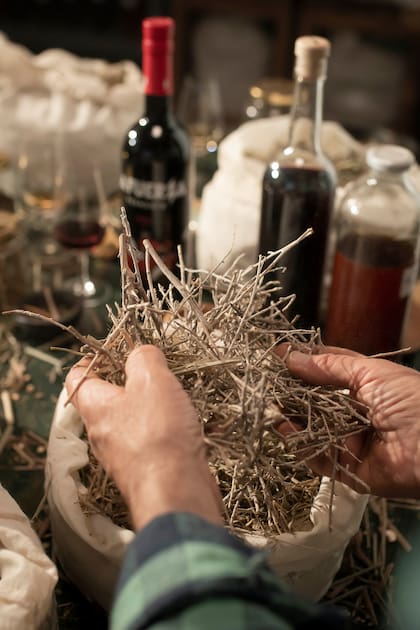 Hierbas con ADN local.