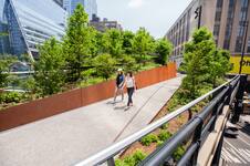 High Line. La experiencia única de estar suspendido en medio del verde en pleno Manhattan