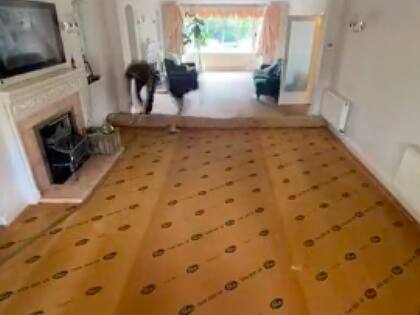 Higiene y salud en casa: cómo quitar las manchas de una alfombra con ingredientes naturales