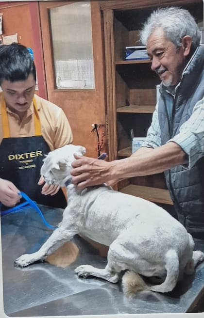 Hilario está muy contento con su trabajo en la clínica veterinaria