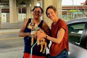 El dulce gesto de Hilary Swank tras encontrar un perro perdido en la calle mientras filmaba