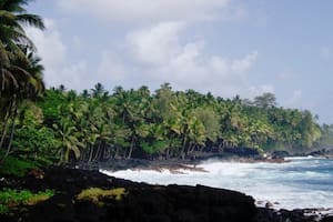 Los destinos de moda para Spring Break 2026 en Estados Unidos