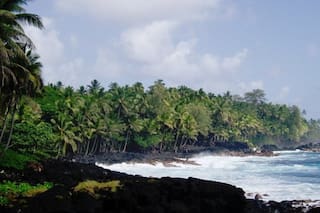 Los destinos de moda para Spring Break 2026 en Estados Unidos