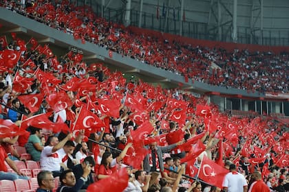 Hinchas apoyan a la Selección de Turquía