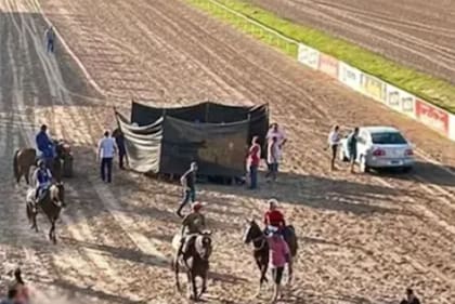 Hipódromo de Rosario: un caballo se quebró las patas delanteras y fue sacrificado en plena carrera