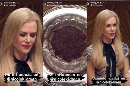 Historias que compartió Marley en su cuenta de Instagram con un video de Nicole Kidman probando un menú de insectos