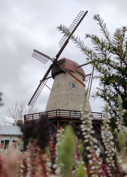Histórico molino en Kuressare, Estonia.