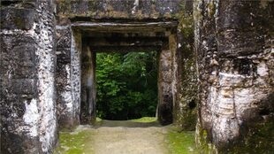 Hogar de hasta 240.000 personas en su apogeo del siglo VIII, Tikal fue abandonado alrededor del año 900 d.C.