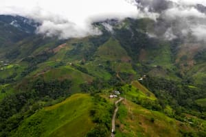 Hojas de Coca; Colombia; semisumergibles; sumergibles; BBC; BBC Mundo; Drogas; Narcotráfico; contrabando; Rutas marítimas y fluviales; cauca; Narcos