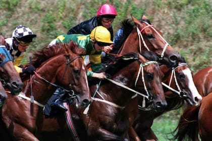 Holy Roller, el gigante en plena carrera