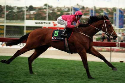 Holy Roller ganando en Mooney Valley, uno de los hipódromos australianos