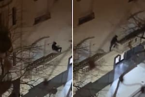 Detienen a un “hombre araña” que fue filmado trepando un edificio de Recoleta para robar una PlayStation