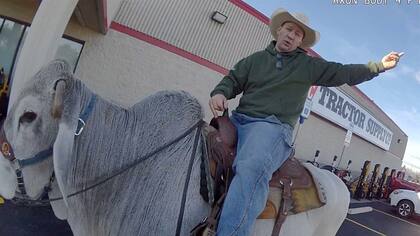 Hombre montado en un toro despertó pánico en Ohio (Facebook/City of Alliance Police Department)