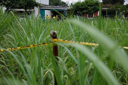 Hombres trabajan en el sitio donde las autoridades excavaban una fosa común clandestina.
