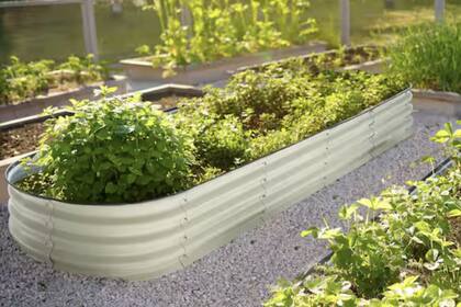 Home Depot cuenta con un amplio catálogo de jardinería (Home Depot)