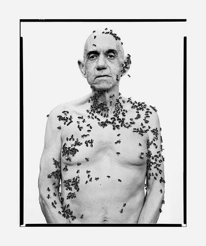 Homenaje a Richard Avedon Ronald Fisher, apicultor CALIFORNIA, 1981, 2014