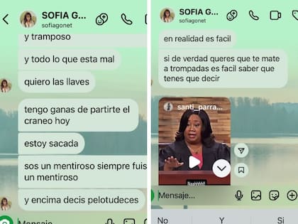 Homero Pettinato compartió los mensajes violentos de Sofía Gonet