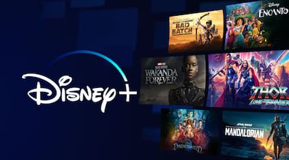Homo Argentum se podrá ver en unos meses en Disney +