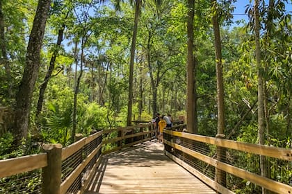Homosassa Springs cuenta con numerosas atracciones turísticas
