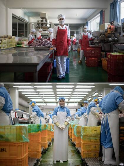 Hong Kum Ju (27, arriba) en la fábrica de alimentos donde trabaja, cerca de la ciudad portuaria de Wonsan, al este de Corea del Norte y Kim Si-eun (49, abajo) en el Fábrica de spam donde trabaja en Jincheon, al sur de Seúl