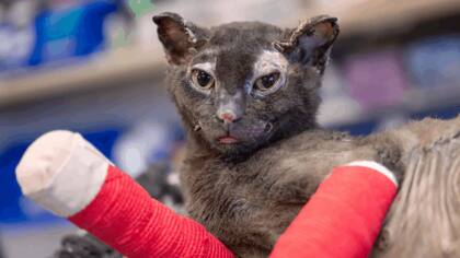 Hope apenas podía respirar y necesitaba oxígeno con urgencia