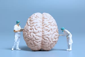 Una neurocientífica canadiense explica qué ocurre en el cerebro cuando el estrés se vuelve crónico