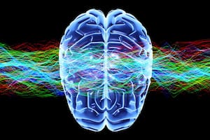 Una neurocientífica canadiense explica qué ocurre en el cerebro cuando el estrés se vuelve crónico