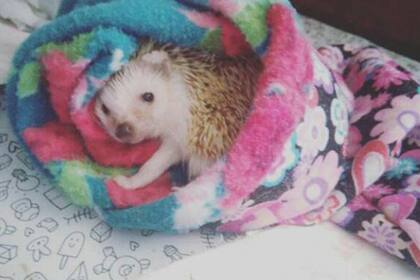 Hope ya recuperada y dada de alta disfruta de un merecido descanso