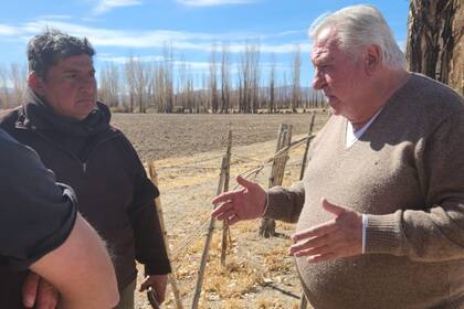 Horacio Gallarino, director técnico y comercial de la empresa Palo Verde
