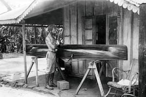 ¿Refugio en la selva misionera o el origen de sus mayores desgracias?