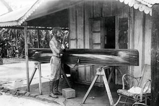 ¿Refugio en la selva misionera o el origen de sus mayores desgracias?