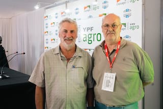 Dos expertos advirtieron sobre una importante brecha de rendimiento en el trigo