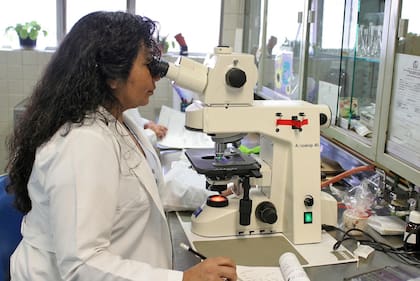 El proyecto recibió recientemente un subsidio, otorgado por la Human Growth Foundation (Fundación de Crecimiento Humano)