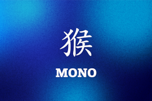 Este es el horóscopo chino 2026 para el Mono