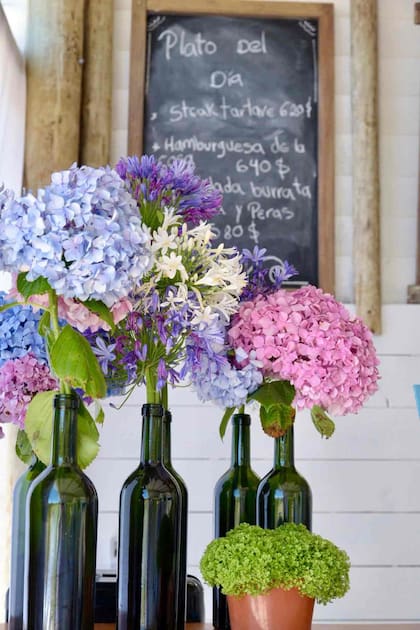 Hortensias en la barra de Mar.