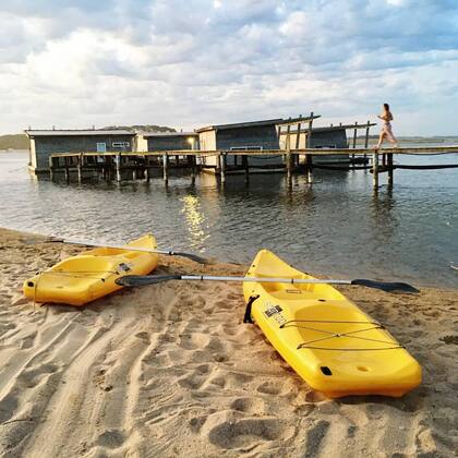 Hospedajes en medio de la naturaleza en Punta del Este