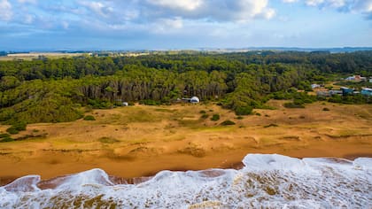 Hospedajes en medio de la naturaleza en Punta del Este