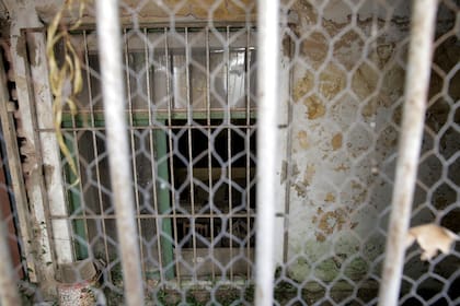 Laboratorios de clínica del hospital