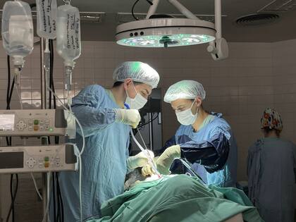 Hospital Interzonal General de Agudos "Dr. Abraham Félix Piñeyro”