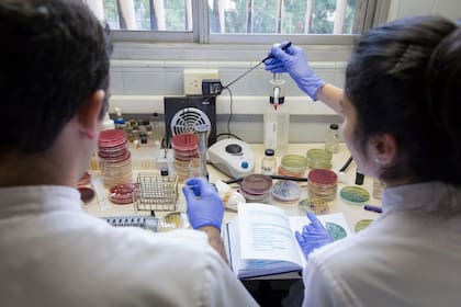 El laboratorio del Hospital Militar Cosme Argerich