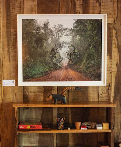 Para concientizar acerca del ecosistema en el que se está inmerso y su fragilidad, Awasi convoca a artistas a que desarrollen su obra en temas vinculados al entorno. Las obras decoran el main lodge.