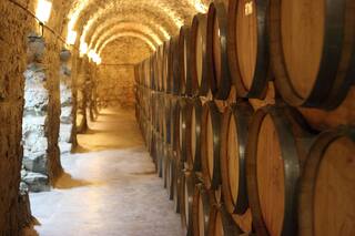 Libertad de precios: fuerte reclamo al Gobierno de las bodegas argentinas