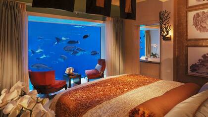Atlantis, The Palm - Dubai