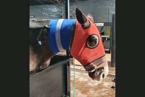 Hoy está estable y cuidado