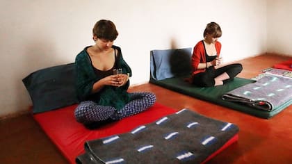 Hoy la ayahuasca se ha sacado de la selva para llevarla a un plano urbano