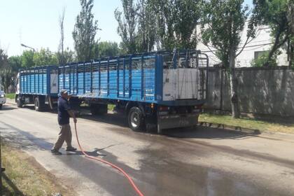 Hoy llegaron al mercado 9390 animales