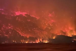 Qué podemos (y debemos) aprender de los incendios forestales de este verano en la Patagonia