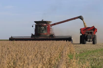 Hoy se requieren 58,4 toneladas de soja para comprar una hectárea en la zona núcleo maicera