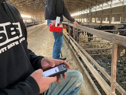 Hoy tienen a Estados Unidos como su principal mercado